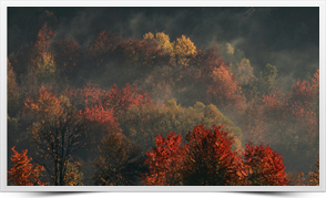 KS_65_282