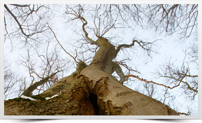 GLE_2010-02-10_157_282