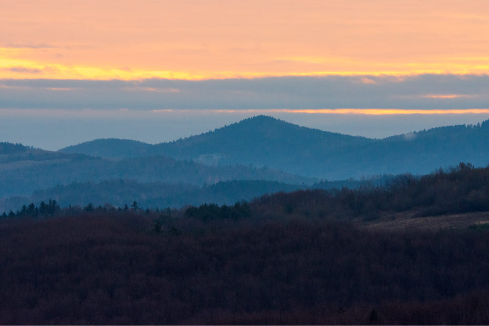 poloniny_narodny park