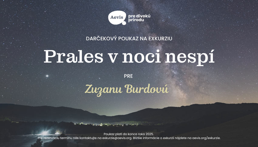 Darčekový poukaz - Prales v noci nespí aevis poloniny